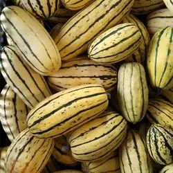 بذر کدو تنبل خوشمزه