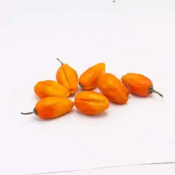 بذر بادمجان فرانسوی