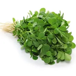 بذر شنبلیله یونانی