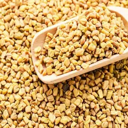 بذر شنبلیله یونانی