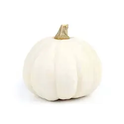 بذر کدو تنبل سفید