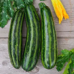 بذر کدو خورشتی سبز رومی
