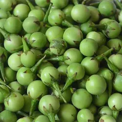 بذر بادمجان نخودی سبز