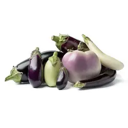 بذر بادمجان دلمه ای میکس