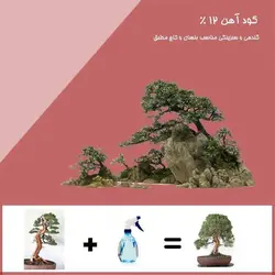 کود آهن 12%