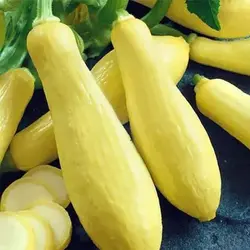 بذر کدو مسما زرد