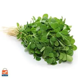 بذر شنبلیله اردستانی