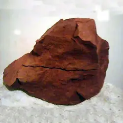 کود هربان 150 گرمی