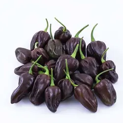 بذر فلفل هابانرو مشکی