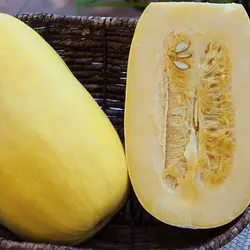 بذر کدو اسپاگتی