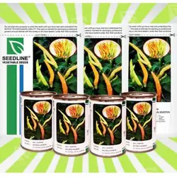 بذر فلفل نافا