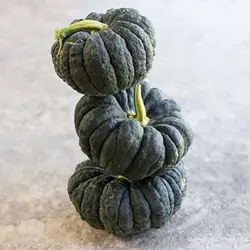 بذر کدو عروسکی سیاه