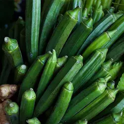 بذر لوفا خوراکی