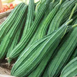 بذر لوفا خوراکی