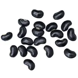 بذر سویا سیاه