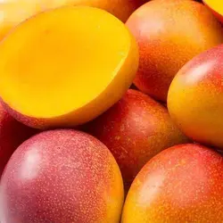 بذر انبه قرمز
