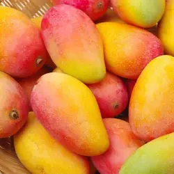 بذر انبه قرمز