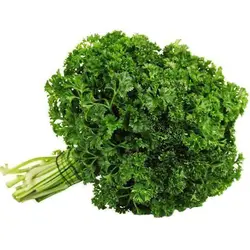 بذر جعفری خزه فر