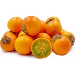 بذر بادمجان ترش پرزدار