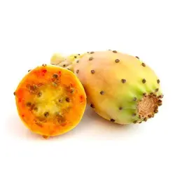 بذر کاکتوس اپونتیا میوه دار نارنجی
