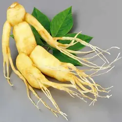 بذر جینسینگ کره ای