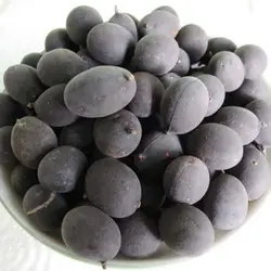 بذر تمبر هندی مخملی