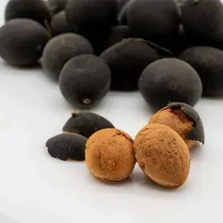 بذر تمبر هندی مخملی