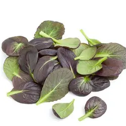 بذر اسفناج خردل ژاپنی قرمز