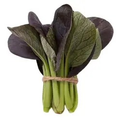 بذر اسفناج خردل ژاپنی قرمز