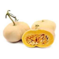بذر کدو تنبل انجیری