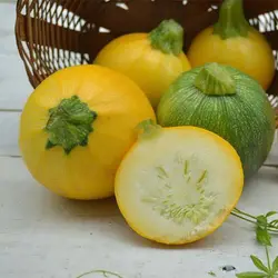 بذر کدو توپی زرد