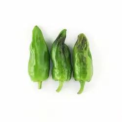 بذر فلفل دلمه ای سبز ایتالیایی