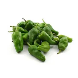 بذر فلفل دلمه ای سبز ایتالیایی