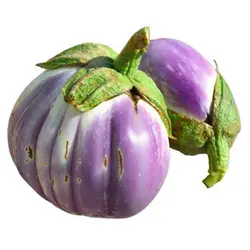 بذر بادمجان رزا بیانکا