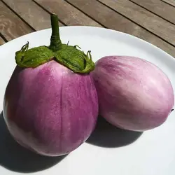 بذر بادمجان رزا بیانکا