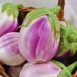 بذر بادمجان رزا بیانکا
