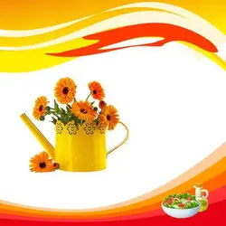 بذر گل همیشه بهار خوراکی