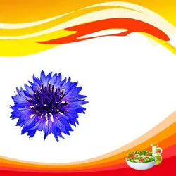 بذر گل گندم خوراکی