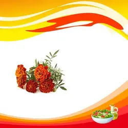بذر گل جعفری خوراکی