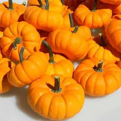 بذر کدو حلوایی جک