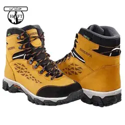 پوتین شرپا مدل انرژی طلایی