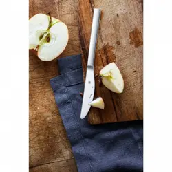 کارد و چنگال میوه خوری 12 پارچه دبلیو ام اف مدل WMF Obstmesser NUOVA