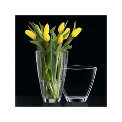 گلدان ناخمن مدل Nachtmann Carre 19 CM