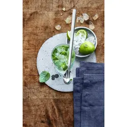 قاشق شربت خوری 6 پارچه دبلیو ام اف مدل WMF Long drink spoons NUOVA