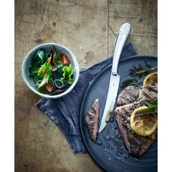 کارد استیک خوری 6 پارچه دبلیو ام اف مدل WMF Steak Knife Set Bullshead