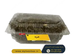 خزه برای نگهداری حلزون