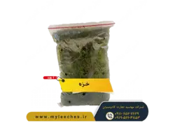 خزه برای نگهداری حلزون
