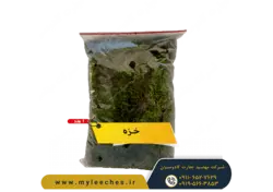 خزه برای نگهداری حلزون