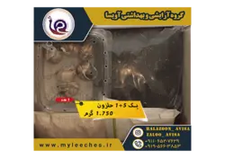 پک 5 عددی حلزون های طبی اسکارگو همراه با وسایل مورد نیاز