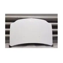کاپوت سفید ال 90(رو اتاقی) رنگ فابریک